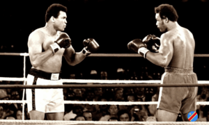 Rumble in the Jungle