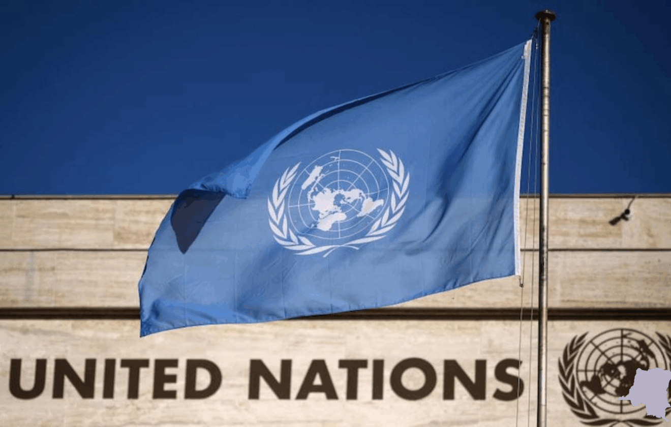 La Résolution 1925 : Du MONUC au MONUSCO, un tournant ambigu