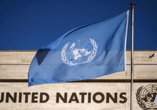 La Résolution 1925 : Du MONUC au MONUSCO, un tournant ambigu