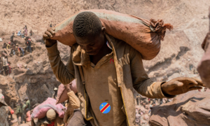 Le Prix d’une Batterie : Genocost