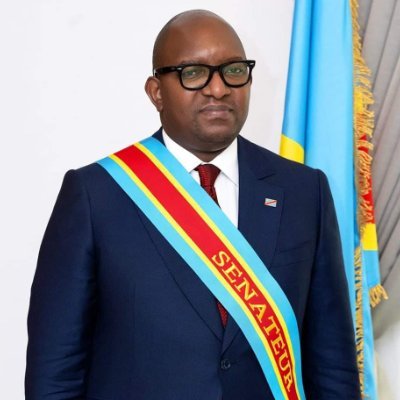 Jean-Michel Sama Lukonde Kyenge — portrait