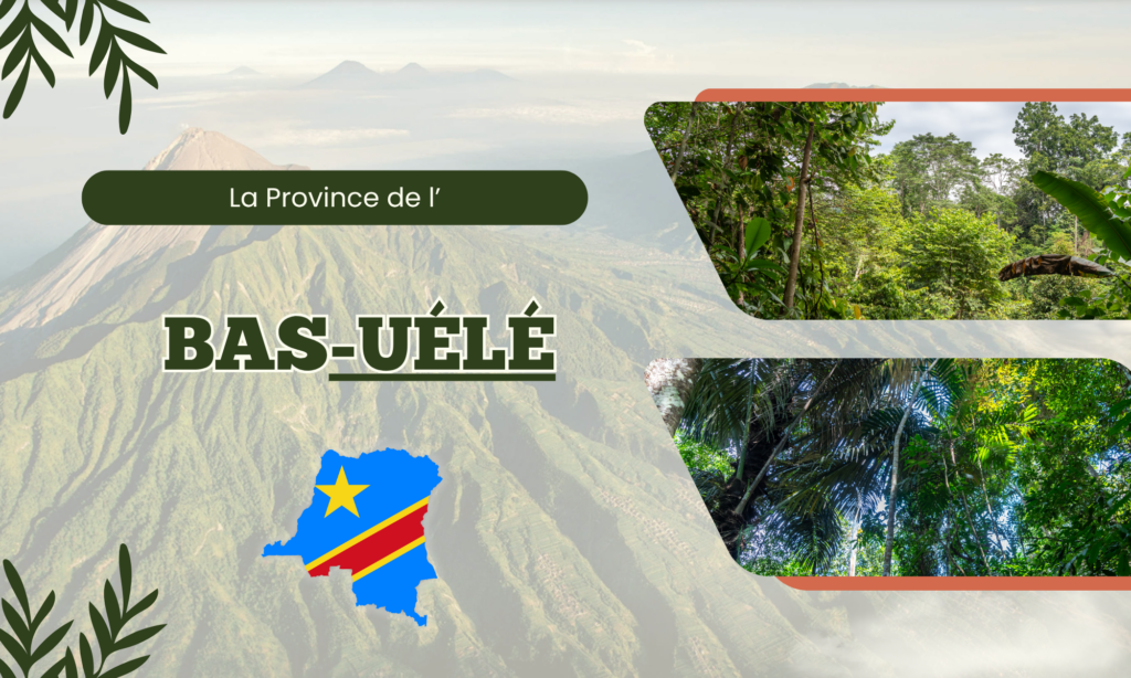 Banner promoting Bas-Uélé province with jungle photos, a dark green rounded title bar that reads 'La Province de l’ BAS-UELÉ', and a blue map outline of the province.