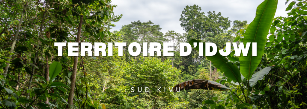 Dense tropical forest with bold white title 'TERRITOIRE D’IDJWI' across the canopy and 'SUD KIVU' subtitle below.