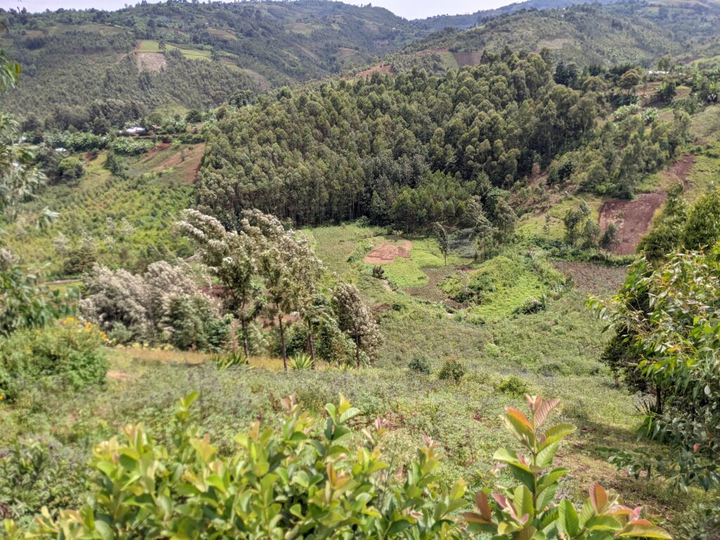 Terraced farmland, patches of forest, and rolling hills in a lush rural valley.
