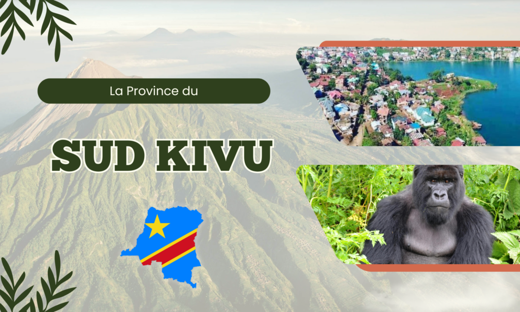Provinces du Sud Kivu