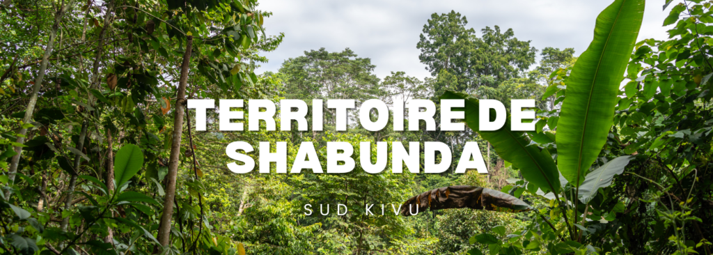 Dense tropical jungle with large white title text 'TERRITOIRE DE SHABUNDA' and smaller 'SUD KIVU' overlayed on green foliage (banner image).
