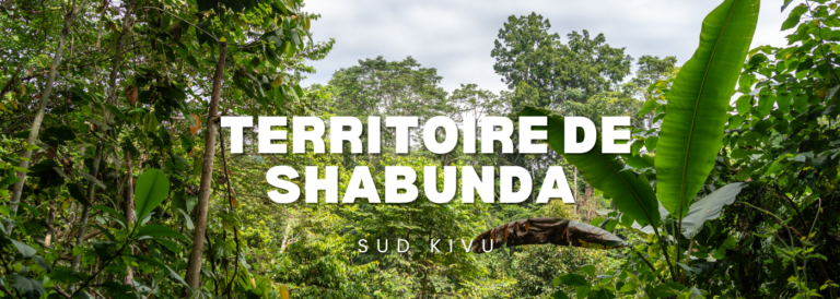 Dense tropical jungle with large white title text 'TERRITOIRE DE SHABUNDA' and smaller 'SUD KIVU' overlayed on green foliage (banner image).