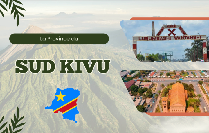 Sud-Kivu